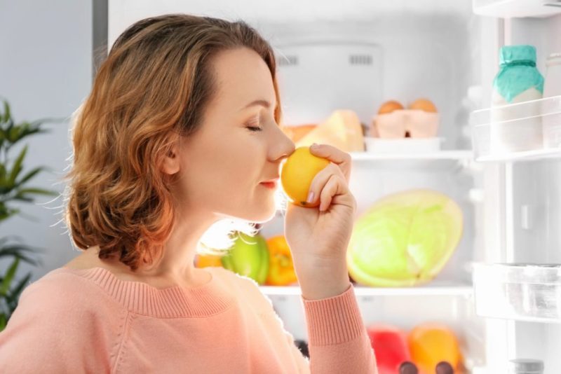 æg hvidløg stenografi Hvordan og hvordan man slipper af med lugten i køleskabet,  gør-det-selv-absorber, årsager til ubehagelig lugt
